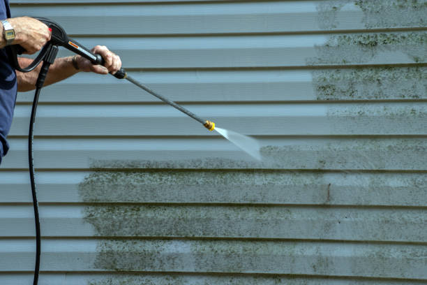 Best Local Pressure Washing Services  in North Tunica, MS