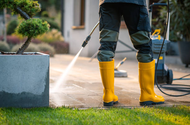 Professional Pressure Washing in North Tunica, MS